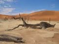 DESERTIFICACION EN CHILE - Iquique TV Noticias
