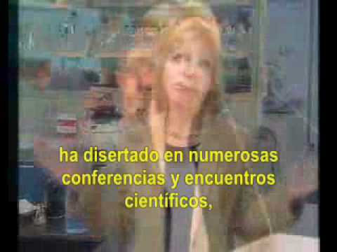 Imagen de previsualización de YouTube