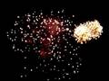 FOCS FIRES 2008 - 2
