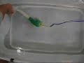 Biomimetic Eel (Rutgers ME)