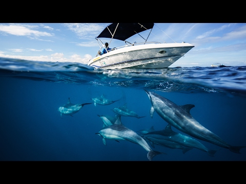 UNTERWASSERFOTOGRAFIE 🐟  Diese Gehäuse nutze ich 📷  Benjamin Jaworskyj