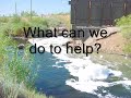 water pollution final