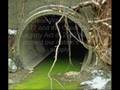 water pollution final