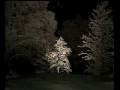 Empyrium --Mourners--