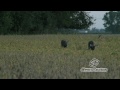 Deer hunting With CVA Apex Muzzleloder, Chuck Paddock from Open Season TV