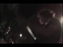 (These) Magnificent Tapeworms - FAREWELL TURTLE pt VI