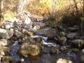 videos de Παρανέστια ενδοχώρα:Τραχώνι