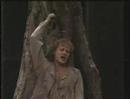 Die Walküre, act one
