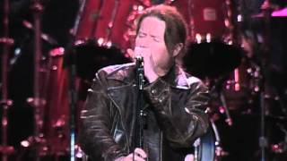 Don Henley - The End Of The Innocence video