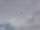 Pitts Maiden flight.