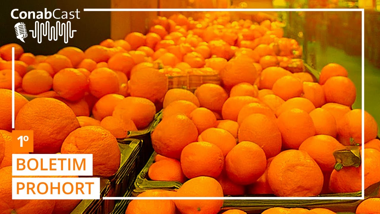 Boletim da Conab aponta para queda de preços da batata, mamão e laranja