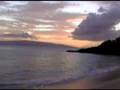 maui surf