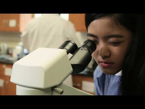 Biology Program at Stevenson University: Eunjeong Joo