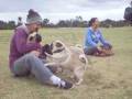 Dudley @ Pugwood