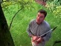 Pruning Robinia Pruning Robinia