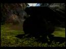 Three in a Warthog