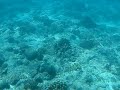 海藍
