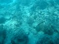 海藍