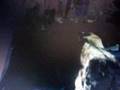 Video del ABUELO 003