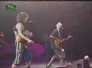 Gogol Bordello - Wonderlust King (Optimus Alive)