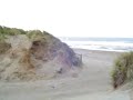 Sonoma County Coast