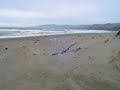 Sonoma County Coast