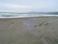 Sonoma County Coast