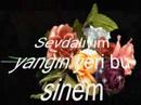 turkiye turkiye
