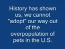 Spay and Neuter