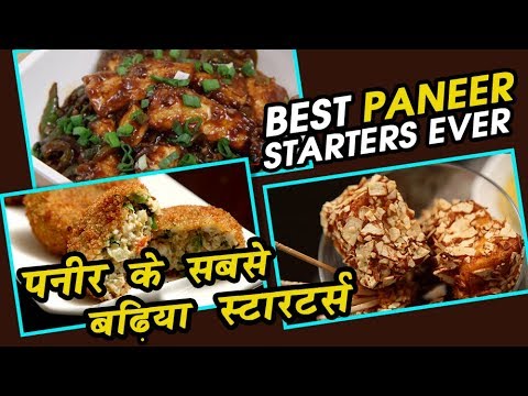 Best Paneer Starters Ever | Paneer Recipe | Easy Paneer Starters Recipes | Ruchi Bharani