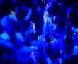 YOJI-BEACH-CLUB-11-0
