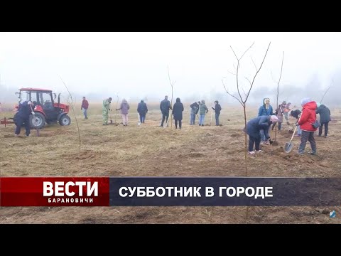 Вести Барановичи 28 октября 2024.