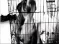 Cassa Locco - O zi perfecta [Official Video Version - High Quality]