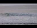 Sandon Point Surfing