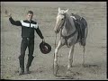 Trick Riding Brian Bausch Cowboy Entertainment Rodeo Acts