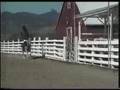 Trick Riding Brian Bausch Cowboy Entertainment Rodeo Acts