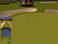 Golden Tee Great Shot on Sunny Wood!