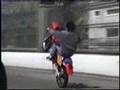 Wheelie Carlos Buenos Aires