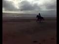 ik met vera op onze paarden Jule en were ever