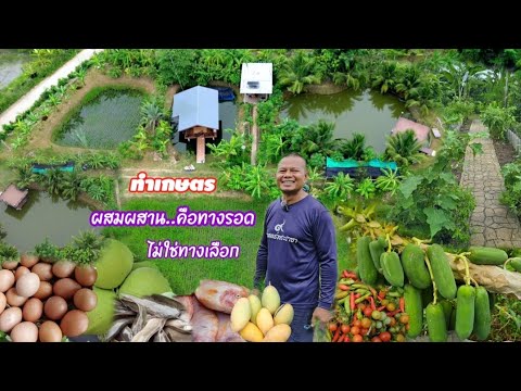 หายจนกันทั้งประเทศไทย!!ถ้าร่วมใจกันทำเกษตรแบบนี้