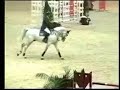 cornet obolensky