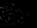 Silvester 2010