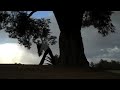 Tree + Me Shadow 11/28