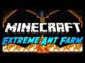 Extreme Ant Farm Survival - Ep. 26 - ASSAULT ON THE SHRINE!
