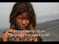 Chambao-papeles mojados