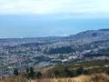 Dunedin,Otago