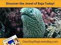 The Villages of Loreto Bay, Baja Sur Mexico, And Vacation Op