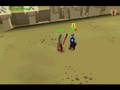 Finken2 & Darkeagle60 - Dual Arena