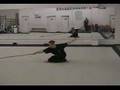 Taichifighter.com- Wushu Spear