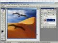Adobe Photoshop